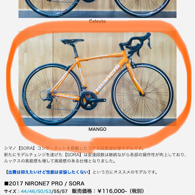 再入荷】 Bianchi - いってぃ ロードバイク Bianchi 自転車本体