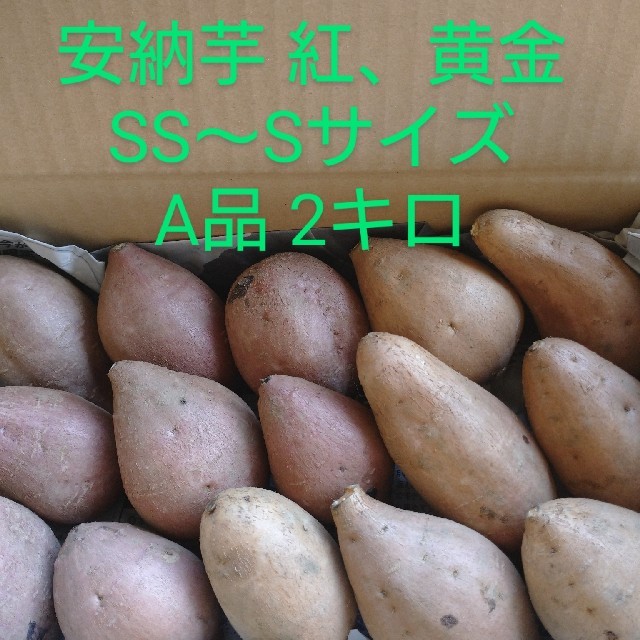 安納芋紅 黄金SS～Sサイズ 2キロ 食品/飲料/酒の食品(野菜)の商品写真