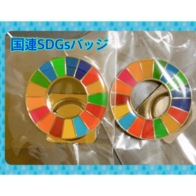 国連SDGsバッジ　強力マグネット式　2個セット《全国送料無料》 エンタメ/ホビーのアニメグッズ(バッジ/ピンバッジ)の商品写真