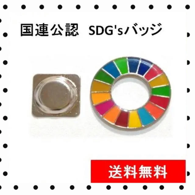 国連SDGsバッジ　強力マグネット式　2個セット《全国送料無料》 エンタメ/ホビーのアニメグッズ(バッジ/ピンバッジ)の商品写真