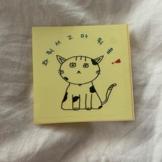 txt cat&dog サノク スティッカー テヒョン 特別値下げ中(K-POP/アジア)