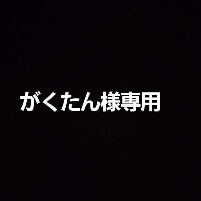 がくたん様専用ページ その他のその他(その他)の商品写真