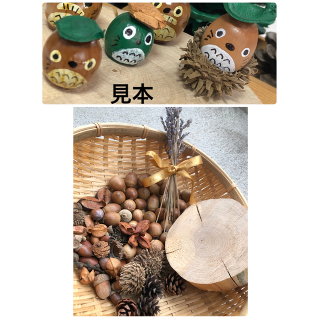 お家で工作セット 切り株 クヌギどんぐり いろんな木の実の通販 By なおなお S Shop ラクマ お家で工作セット 切り株 クヌギどんぐり いろんな木の実の通販 By なおなお S Shop ラクマ