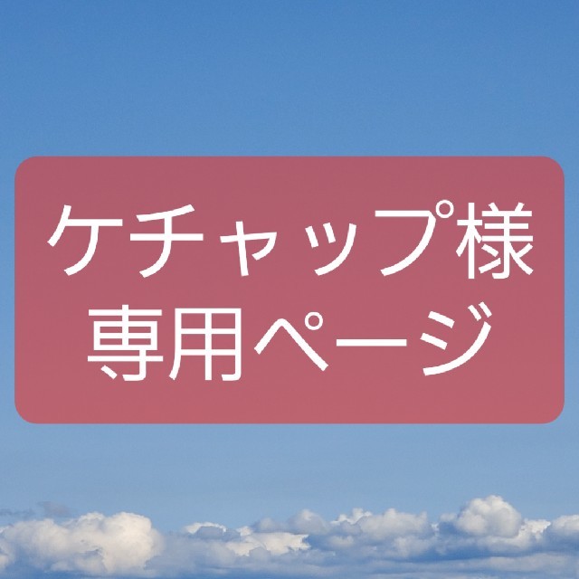 ケチャップ様 専用ページの通販 by ☆まぁ☆|ラクマ
