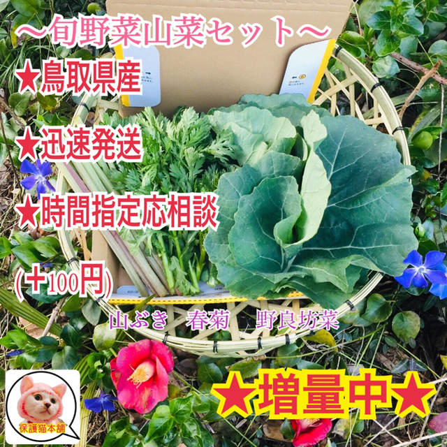 即日発送✧免疫力アップ食材✼旬野菜と山菜セット✼ 食品/飲料/酒の食品(野菜)の商品写真