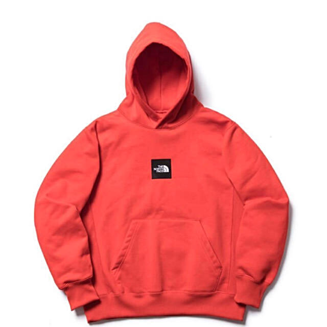 the north face heather logo big hoodie