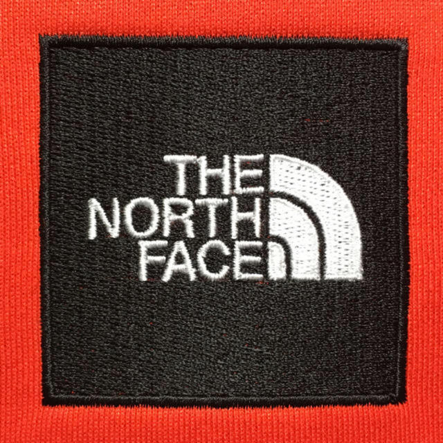 THE NORTH FACE HEATHER LOGO BIG HOODIE 1