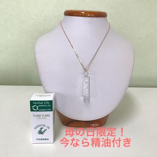 セイカツノキ(生活の木)のアロマネックレス＆精油セット【未使用】(アロマグッズ)