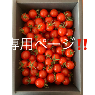 トマト 1kg ☆キャロルセブン☆と「熟成あまか芋」紅はるか3kg(野菜)