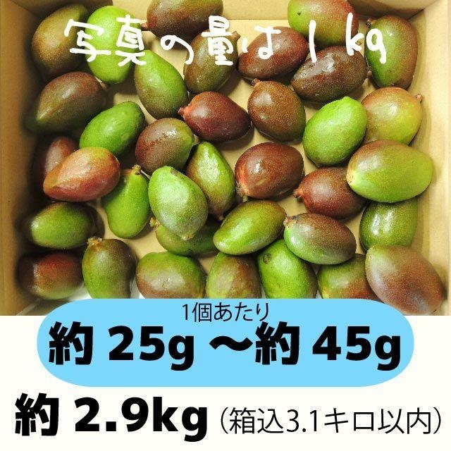 ［青3-1］約2.9キロ　グリーンマンゴー 青マンゴー　加工用　マンゴー 食品/飲料/酒の食品(フルーツ)の商品写真