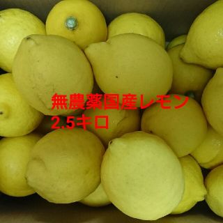 無農薬国産レモン(フルーツ)