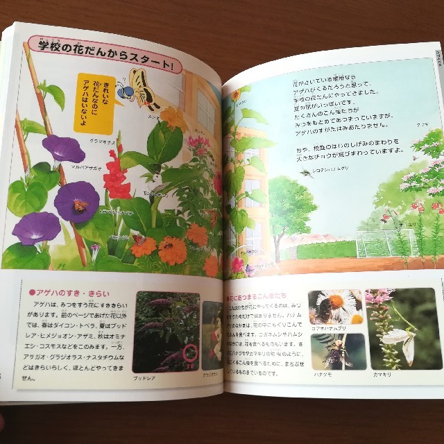 旺文社(オウブンシャ)の昆虫ナビずかん エンタメ/ホビーの本(絵本/児童書)の商品写真