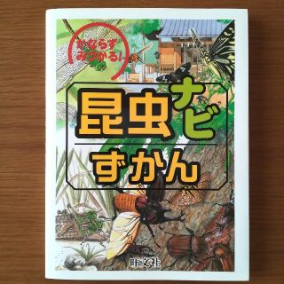 オウブンシャ(旺文社)の昆虫ナビずかん(絵本/児童書)