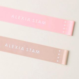 アリシアスタン(ALEXIA STAM)の【新品未使用】Alexia stam トレーニングチューブ(トレーニング用品)