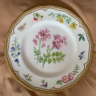 ロイヤルウースター(Royal Worcester)のロイヤルウースター　プレート皿(食器)