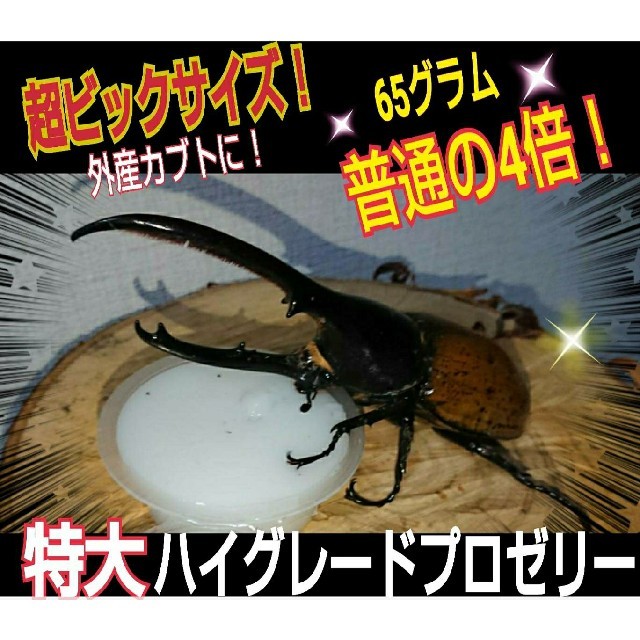 市場 送料無料 65g 食いつき抜群 超大型種用 ハイグレード昆虫ゼリー 市場 送料無料 65g 食いつき抜群 超大型種用 ハイグレード昆虫ゼリー