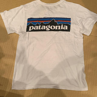 パタゴニア(patagonia)のPatagonia TシャツM(Tシャツ/カットソー(半袖/袖なし))