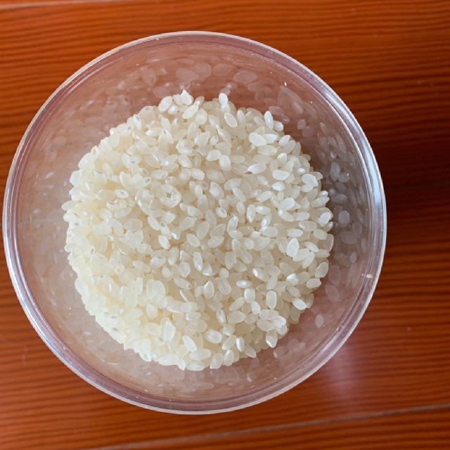 ご飯　米　飯　キヌヒカリ　米/穀物　玄米　白米　20kg　送料込