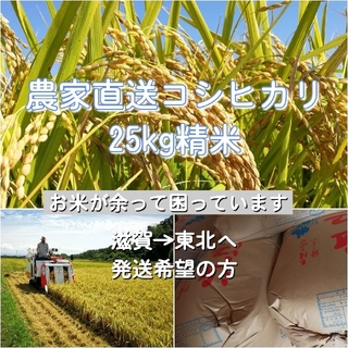 農家直送コシヒカリ　精米25kg　06(米/穀物)