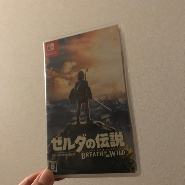 ゼルダの伝説 ブレス オブ ザ ワイルド Switch