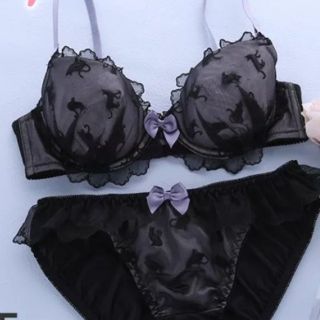 新品EFありキャットシルエットシフォンブラジャーショーツセット(ブラ&ショーツセット)