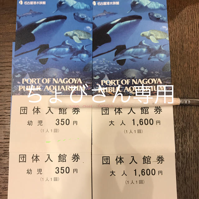 名古屋港水族館 　チケット
大人2枚      計2枚セット