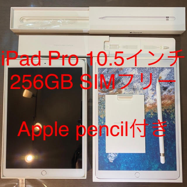 iPad pro 10.5インチ 256GB silver セルラーモデル