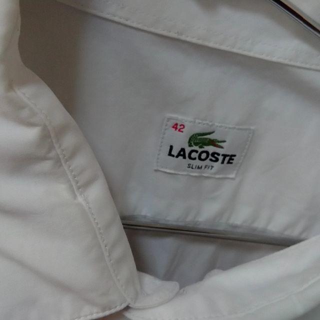 LACOSTE(ラコステ)の【送料込】ラコステ(LACOSTE) 胸ライン入り長袖シャツ メンズのトップス(シャツ)の商品写真