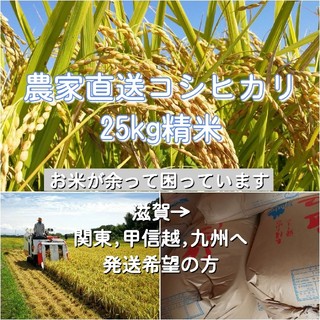 農家直送コシヒカリ 精米25kg(米/穀物)