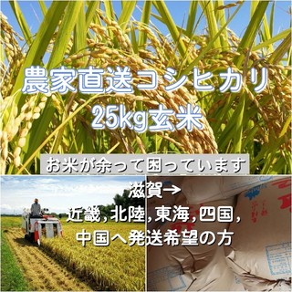農家直送コシヒカリ 玄米25kg(米/穀物)