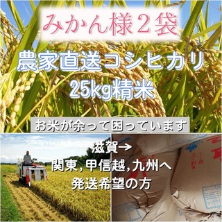 みかん様 農家直送コシヒカリ 精米25kg(米/穀物)