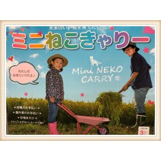 新品☆送料無料☆ミニねこきゃりー(手押し車/カタカタ)