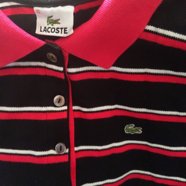 LACOSTE(ラコステ)のLACOSTEポロシャツ レディースのトップス(ポロシャツ)の商品写真