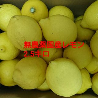 国産無農薬レモン(フルーツ)