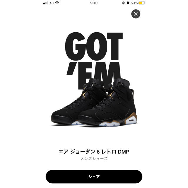 NIKE(ナイキ)の NIKE AIR JORDAN 6 RETRO SE DMP メンズの靴/シューズ(スニーカー)の商品写真