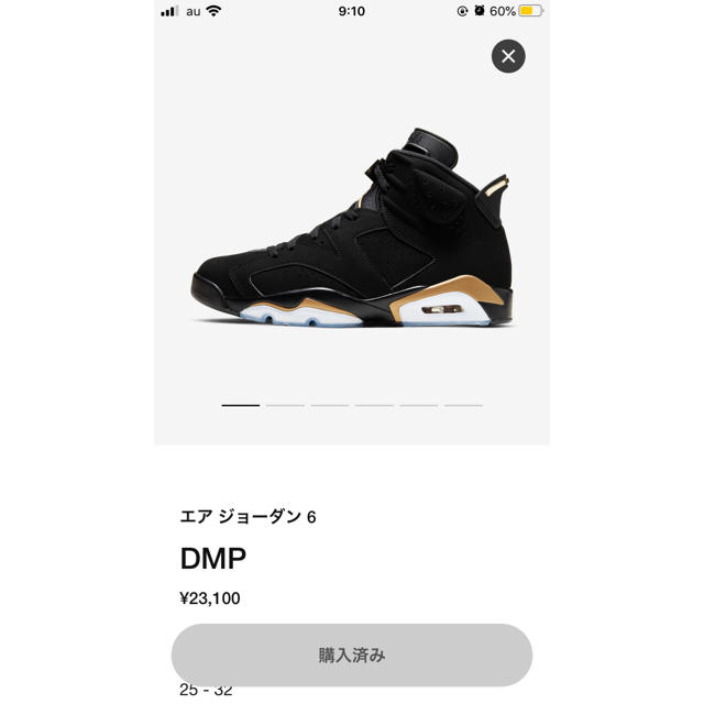 NIKE(ナイキ)の NIKE AIR JORDAN 6 RETRO SE DMP メンズの靴/シューズ(スニーカー)の商品写真