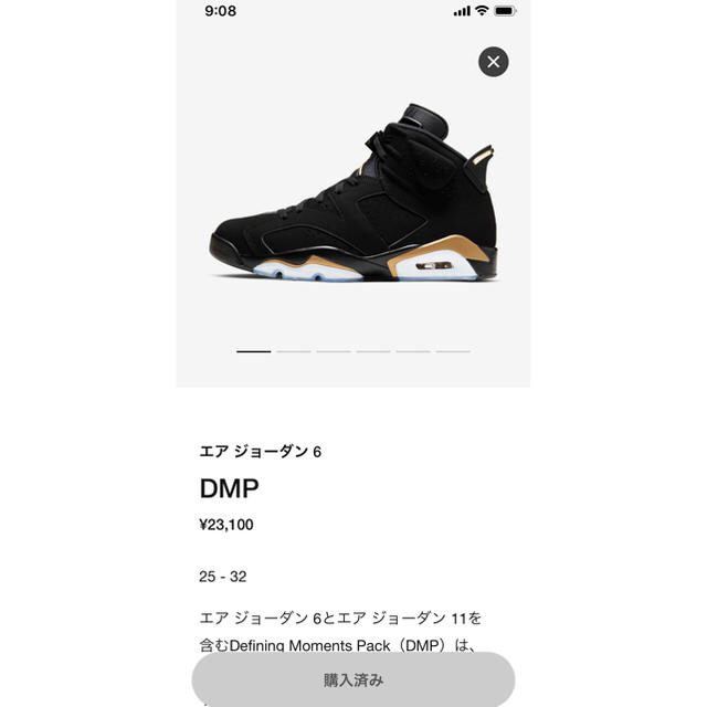 NIKE AIR JORDAN 6 RETRO SE DMP 27cm ナイキ - スニーカー