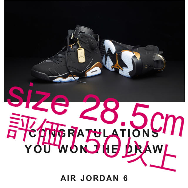 NIKE air jordan6 DMP BLACK GOLD 28.5㎝