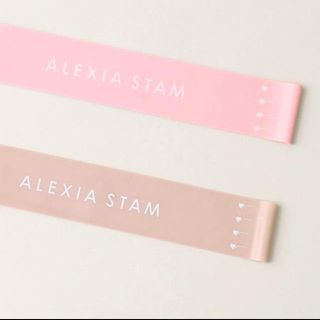 アリシアスタン(ALEXIA STAM)のALEXIA STAM トレーニングチューブ(トレーニング用品)