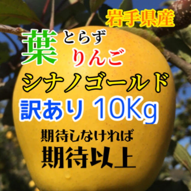 【送料込】訳あり葉とらずりんご シナノゴールド 30個前後 約10kg 食品/飲料/酒の食品(フルーツ)の商品写真