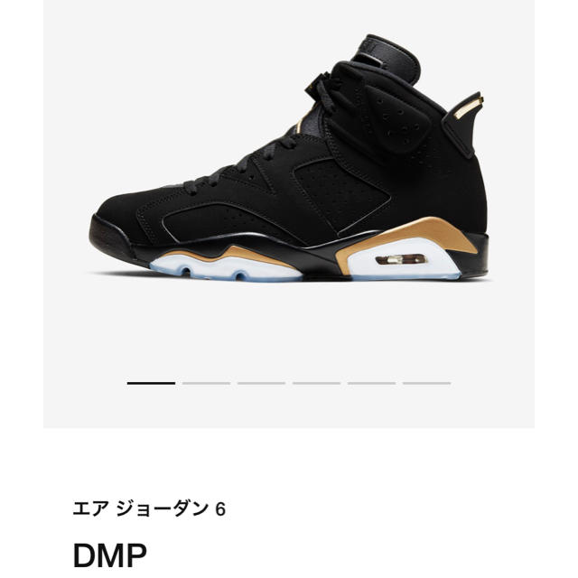 NIKE AIR JORDAN6 DMP 25.5cm 新品　送料込み