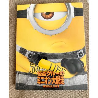 ユニバーサルエンターテインメント(UNIVERSAL ENTERTAINMENT)のDVD ミニオン　2枚セット(キッズ/ファミリー)