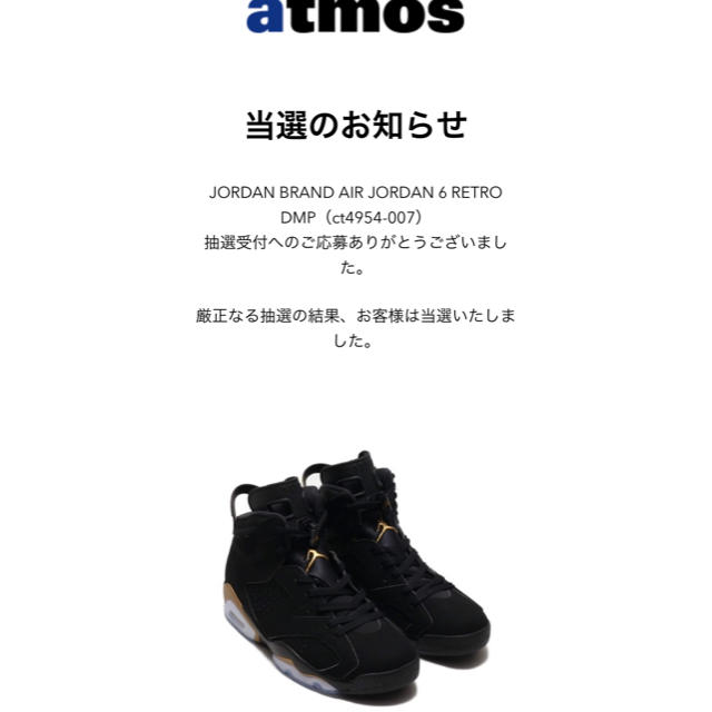 NIKE(ナイキ)のNIKE AIR JORDAN 6 RETRO DMP メンズの靴/シューズ(スニーカー)の商品写真