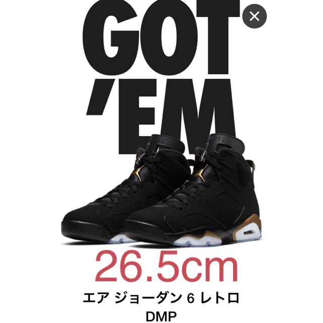 NIKE エアジョーダン1 NIKE AIR JORDAN 6 DMP 26.5