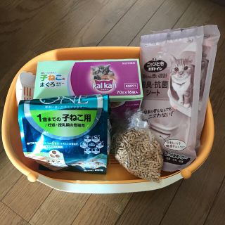 子猫用トイレとゴハンのセット(猫)