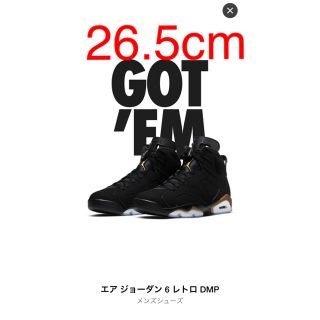 ナイキ(NIKE)のNIKE AIR JORDAN 6 "DMP" ナイキ エアジョーダン6 AJ6(スニーカー)