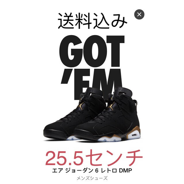 NIKE AIR JORDAN6 エアジョーダン6 DMP 25.5cmnike