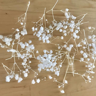 かすみ草 オーバータイム ホワイト プリザーブドフラワー 花材(プリザーブドフラワー)