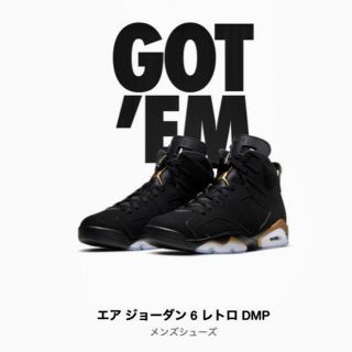 ナイキ(NIKE)のJORDAN6(スニーカー)