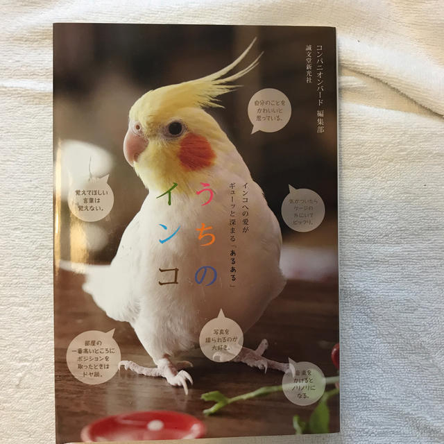 うちのインコ インコへの愛がギュ－ッと深まる「あるある」 エンタメ/ホビーの本(住まい/暮らし/子育て)の商品写真